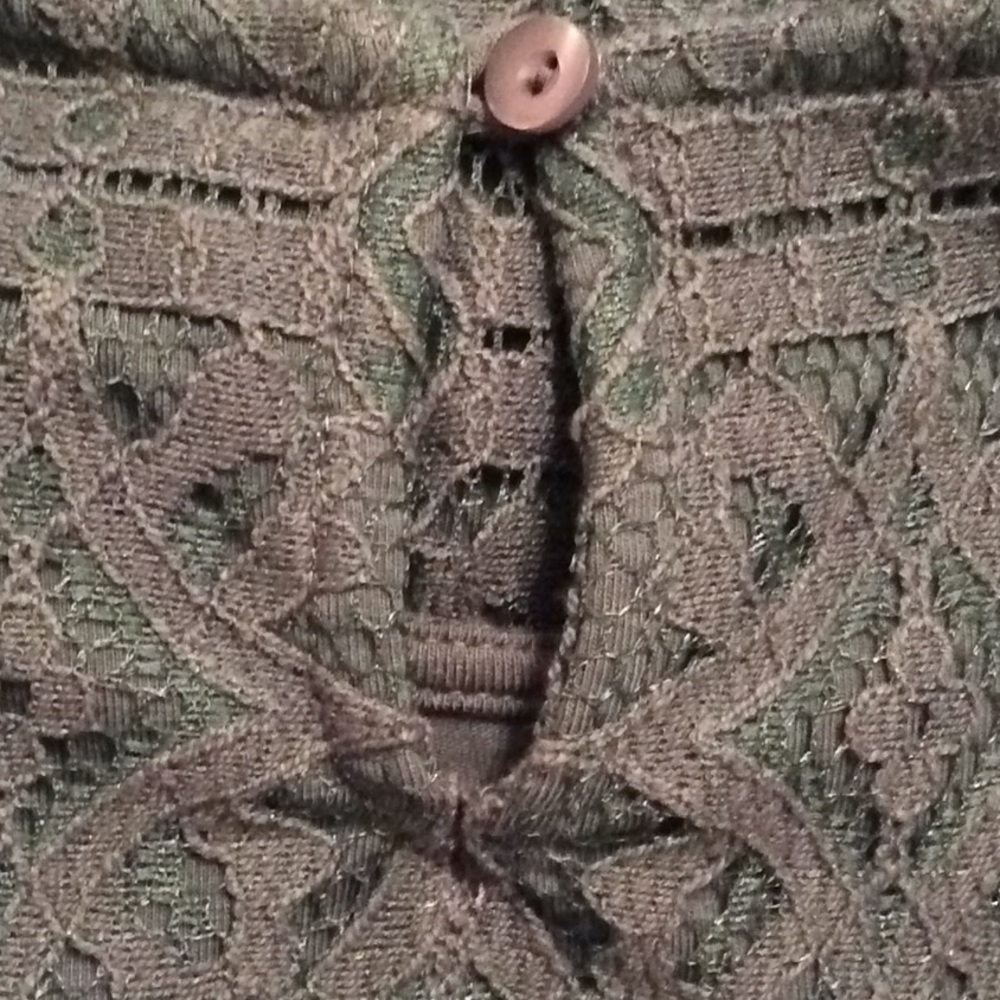 ❌ SALE  ❌ 💚 Talbots Dressy Sleeveless Lace Blouse - Picture 6 of 7